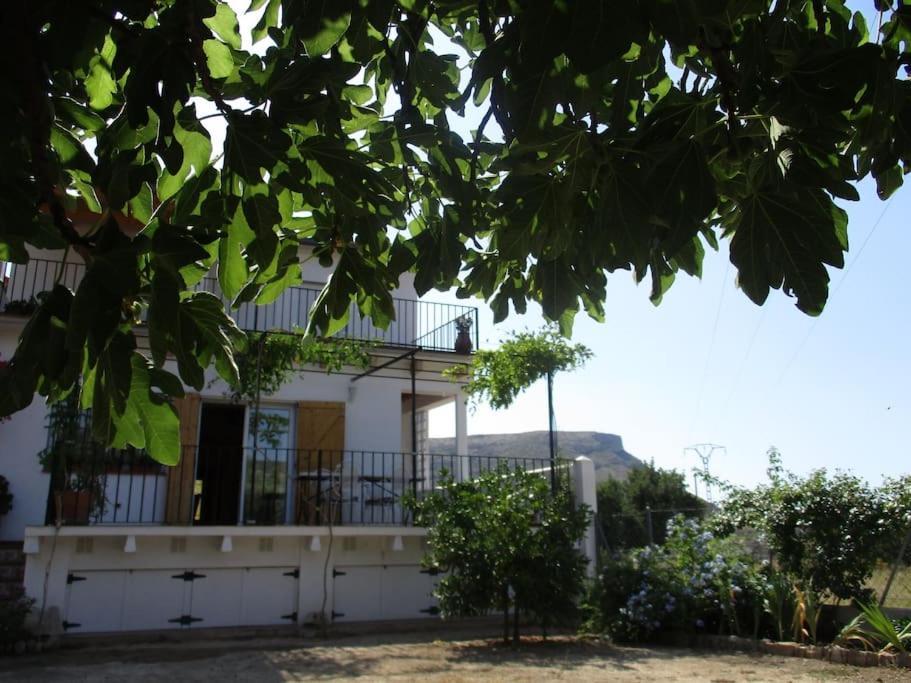 Casa La Higuera Villa Chulilla Eksteriør billede