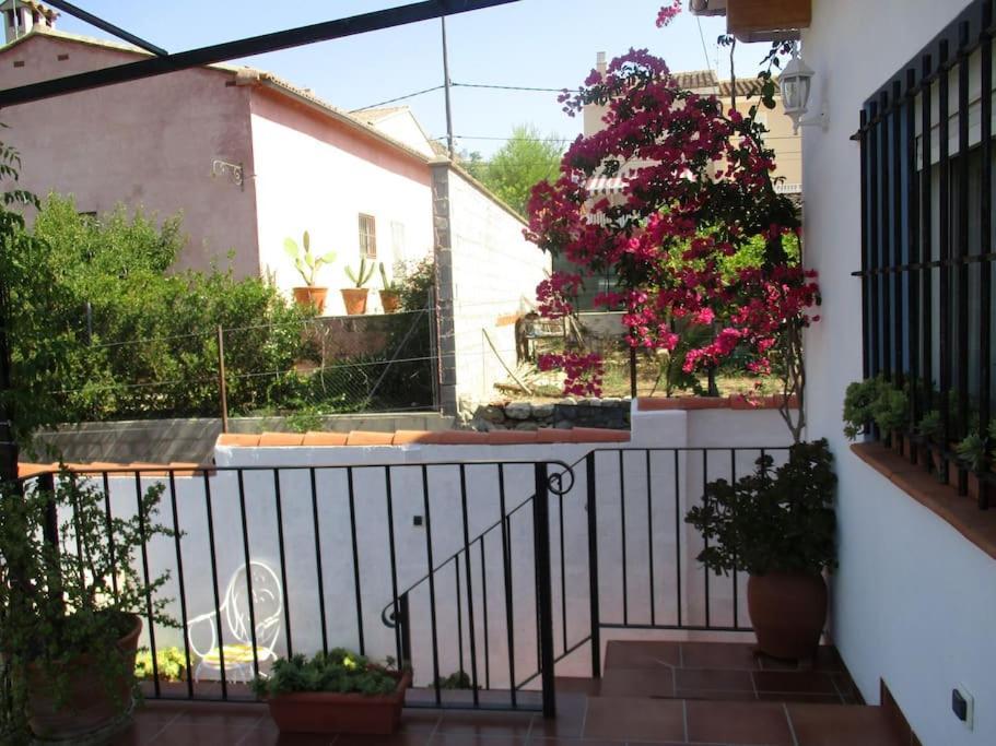 Casa La Higuera Villa Chulilla Eksteriør billede