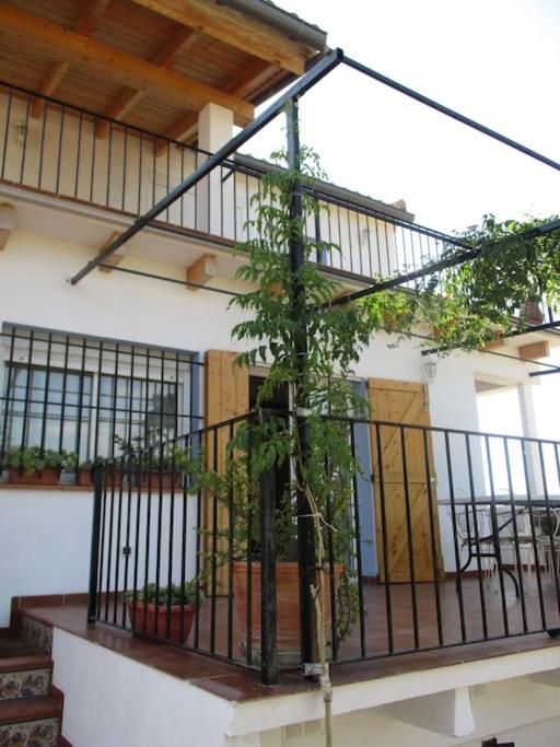 Casa La Higuera Villa Chulilla Eksteriør billede