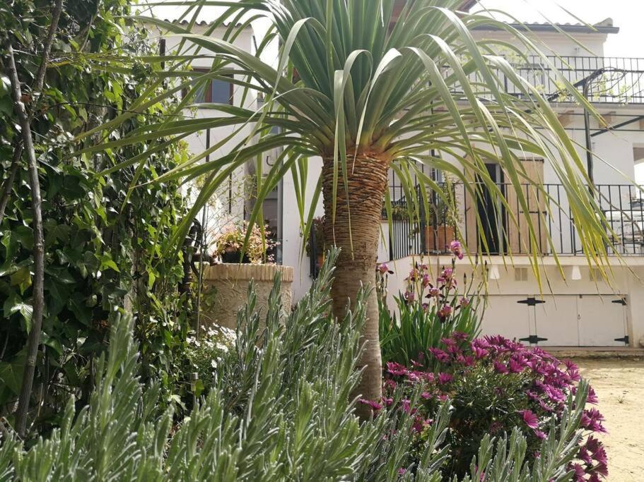 Casa La Higuera Villa Chulilla Eksteriør billede