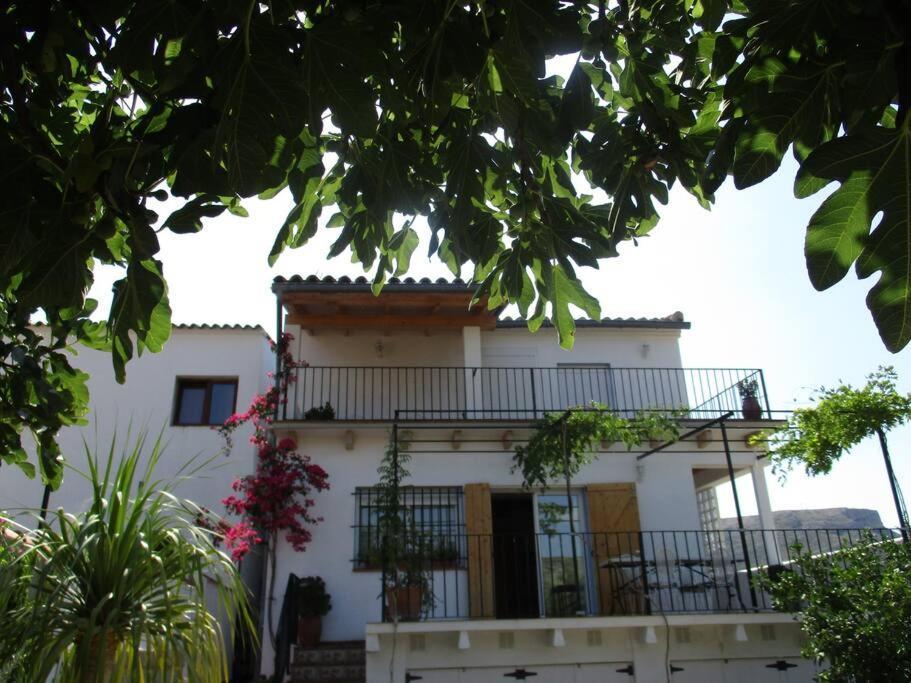 Casa La Higuera Villa Chulilla Eksteriør billede
