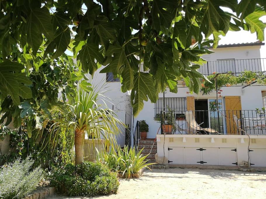 Casa La Higuera Villa Chulilla Eksteriør billede