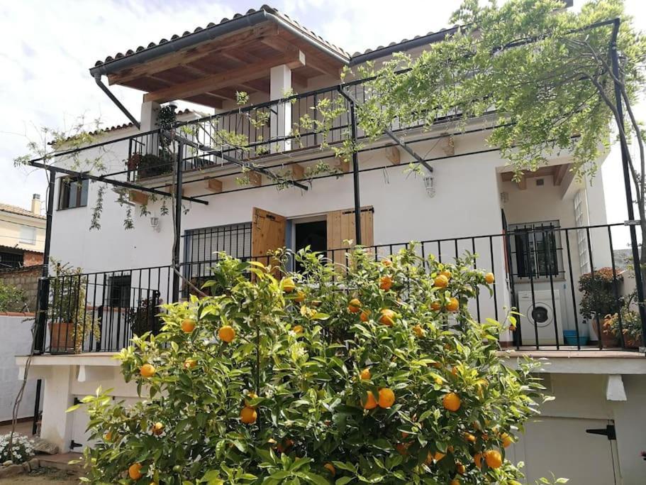 Casa La Higuera Villa Chulilla Eksteriør billede